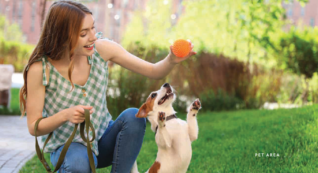 The-Highbury-Galary-IMG-04